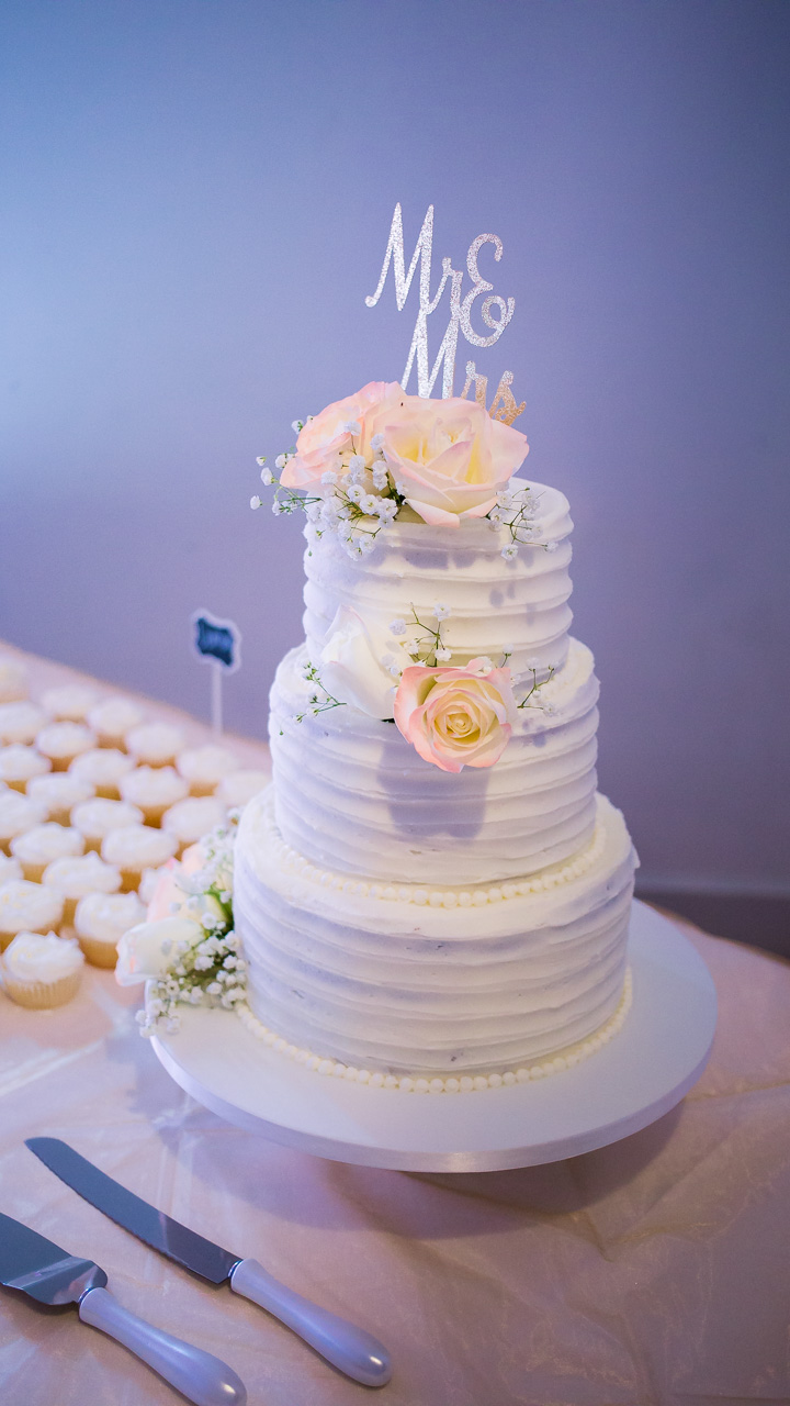 maine wedding cake presque isle photography mouse island