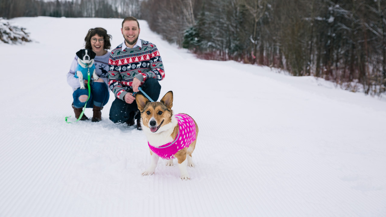 Winter engagement session with pets mouse island creatives