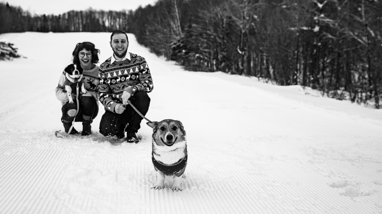 pet parents couples photography mouse island creatives portait photographers nordic heritage black white